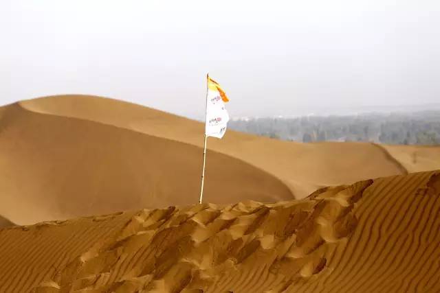 �ŵ�88(�й���)�ٷ���վ