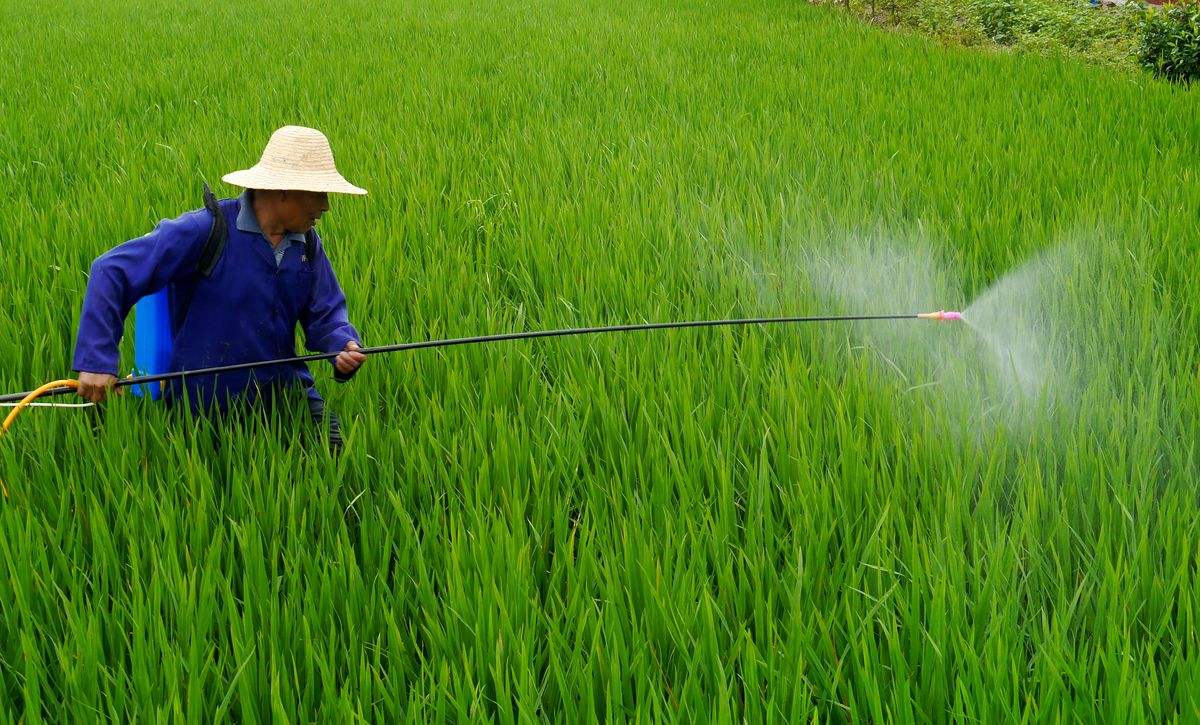 ÓŵÂ88(ÖйúÇø)¹Ù·½ÍøÕ¾